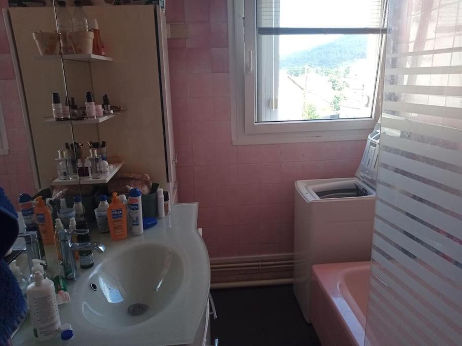 Appartement 83 M2 Renove 勒米尔蒙 外观 照片